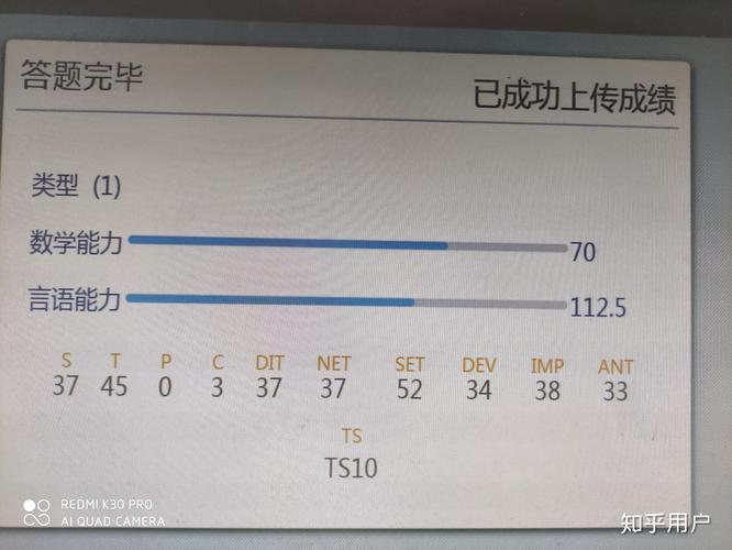 tsi是什么意思-Ts什么意思网络上